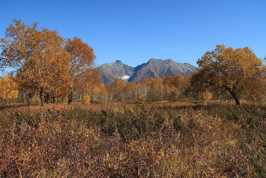 autumn, mountains, forest, fall colors, landscape, nature, autumn day HD wallpaper