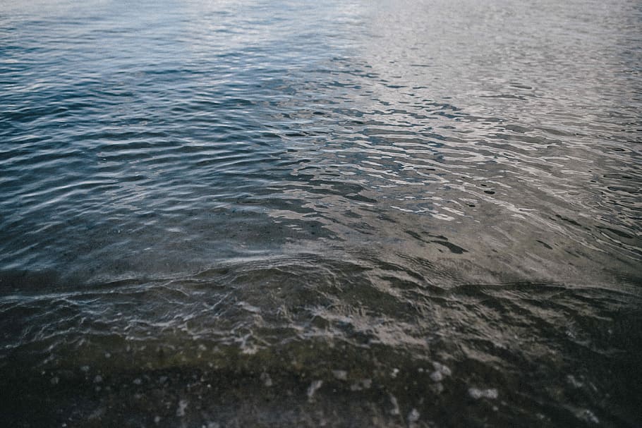 Baltic Sea, water, waves, nature, backgrounds, ripple, water Surface HD wallpaper