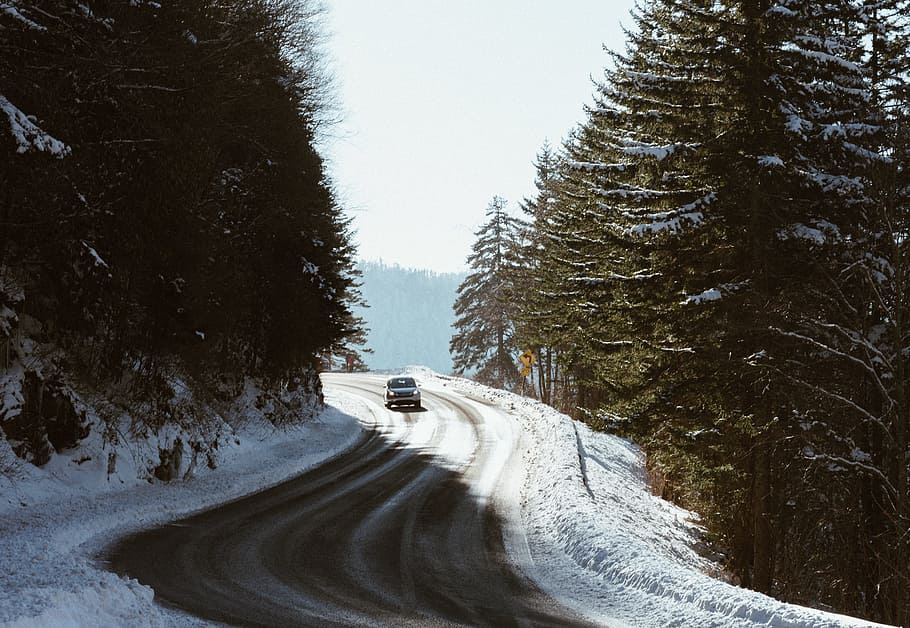 car on snowy road surrounded by tall trees, car traveling at the snow cap road surrounded with pine trees during daytime HD wallpaper
