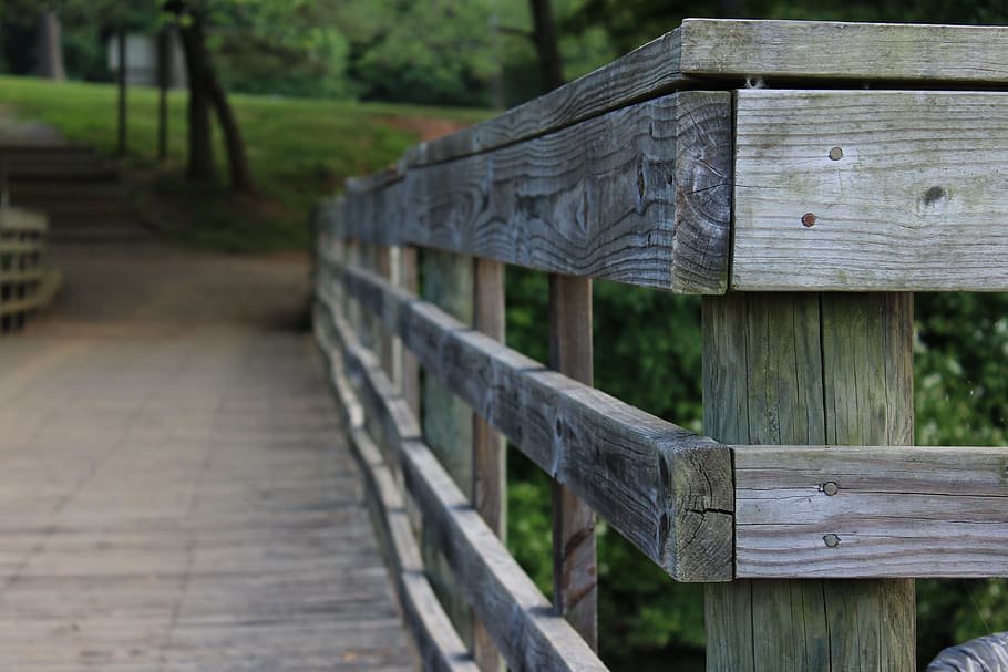 Path, Bridge, Alone, Wooden, walking, travel, water, nature HD wallpaper