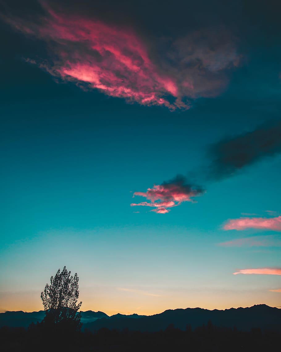 silhouette of tree under sunset, silhouette of tree, cloud, sunrise HD wallpaper