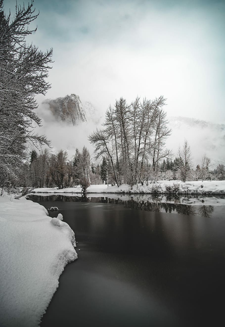 photo of river near snow field, river covered with snow and baretrees HD wallpaper