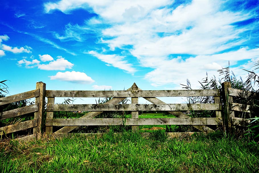 photo of brown fence under blue sky, gate, forbidden, keep out HD wallpaper