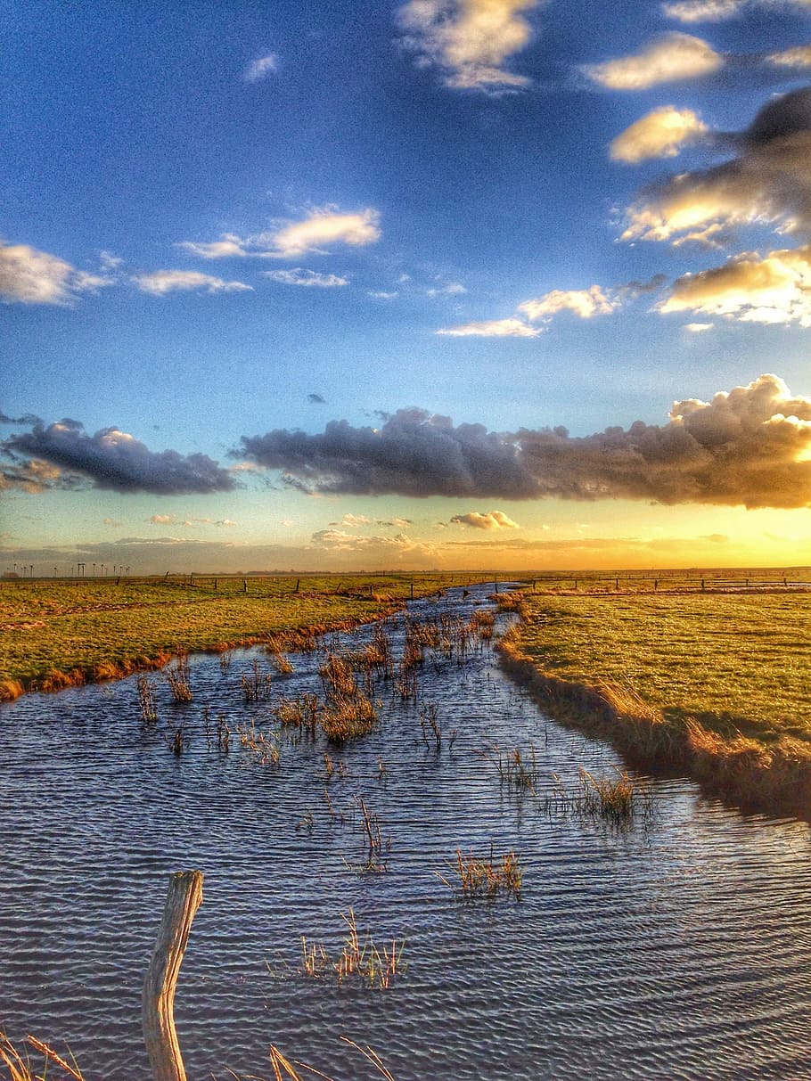 Marsh, Cuxhaven, Romance, Sunset, Reed, water, abendstimmung HD wallpaper