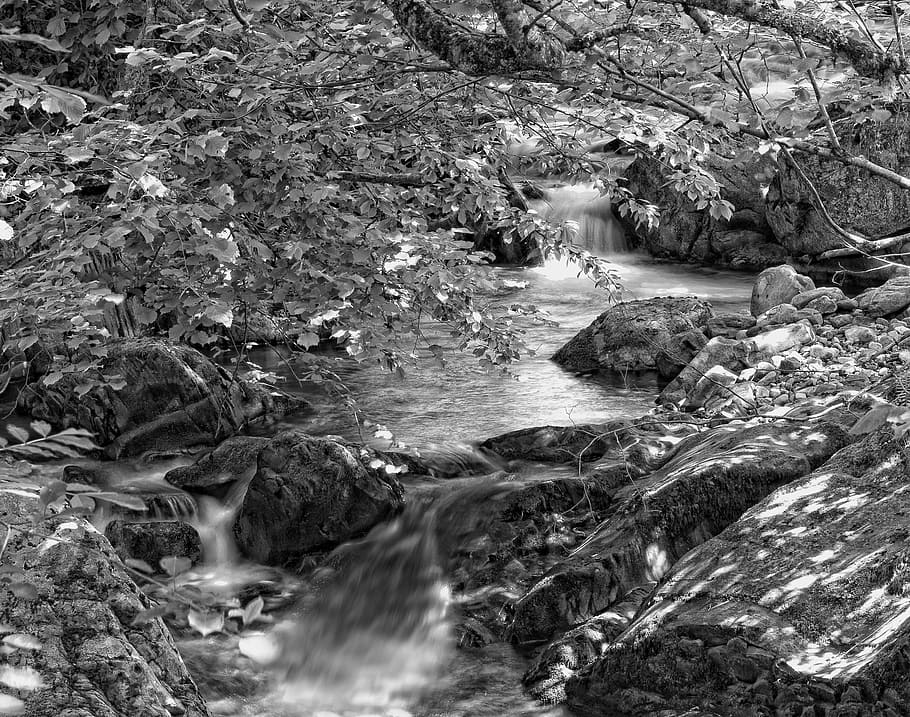 grayscale photo of river, grayscale photography of river, rock HD wallpaper