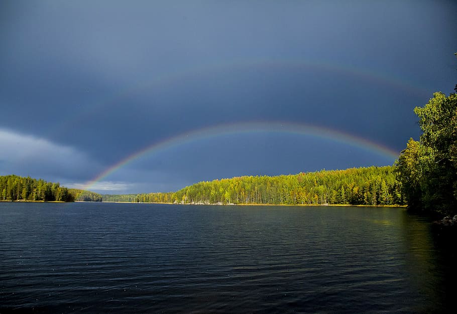 green trees under rainbow, Lake, Sunshine, Summer, water, sky HD wallpaper