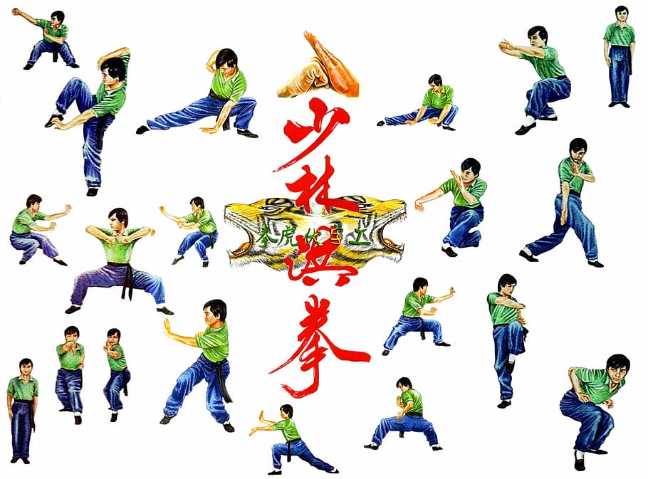 HD wallpaper: Tiger Kung Fu Martial Arts, jump, karate, kick, public domain  | Wallpaper Flare