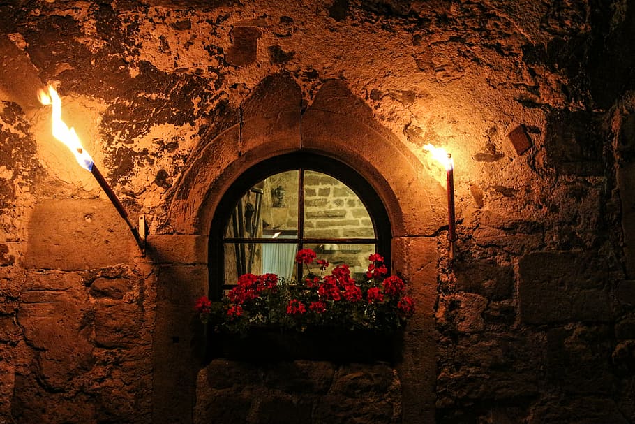 red petaled flowers on dome windoe, castle windows, by looking HD wallpaper
