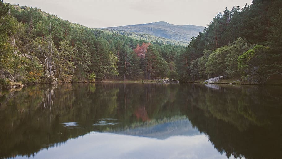 lake, water, reflection, trees, forest, nature, hills, scenics - nature HD wallpaper