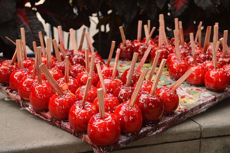 Apple, Seller, Flower, several, red, red rose, insect, rosa HD wallpaper