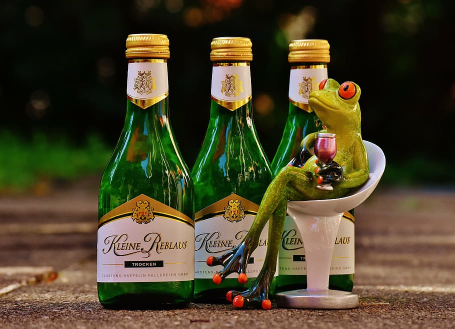 frog, wine, drink, restaurant, weinstube, alcohol, figure, funny HD wallpaper