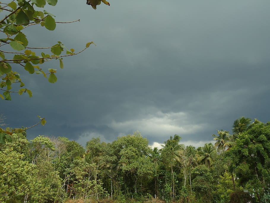 Clouds, Nature, Weather, Landscape, rain, environment, tree HD wallpaper