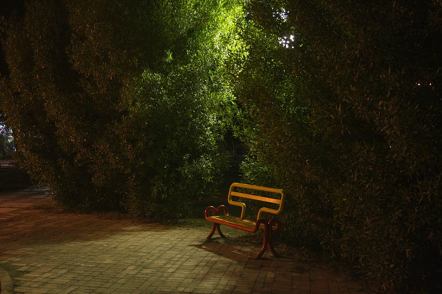 empty, chair, alone, green, red, plant, tree, seat, bench, park HD wallpaper