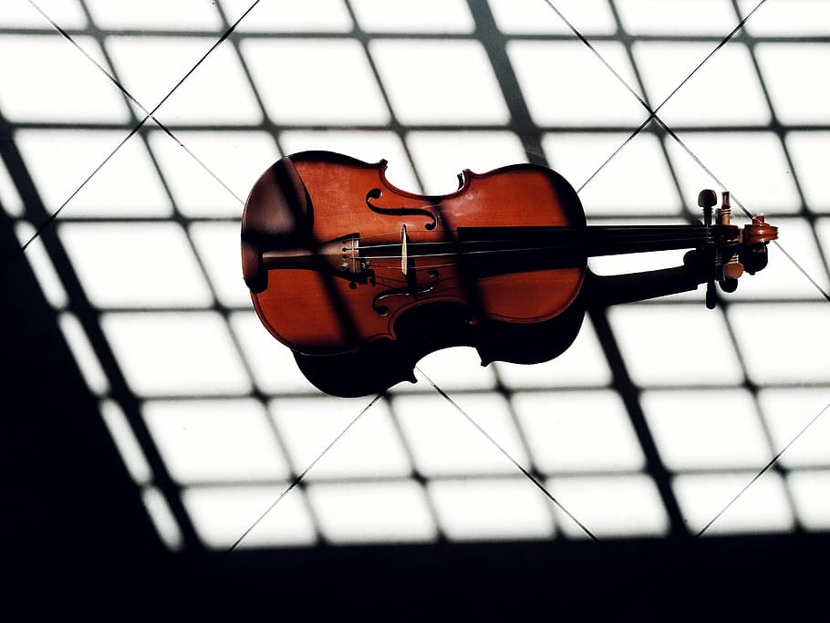 brown violin, black and brown violin on white floor, shadow, light HD wallpaper