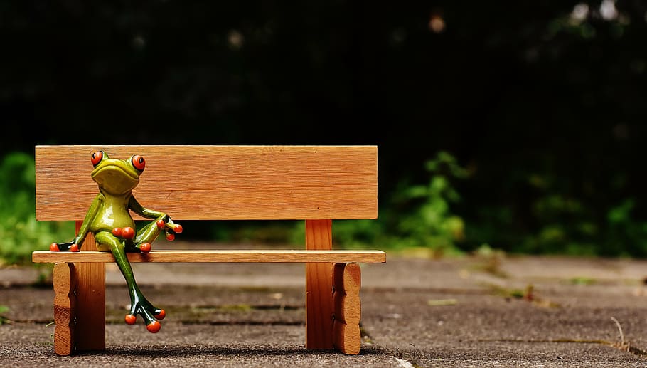 frog, sit, bank, bench, rest, break, funny, cute, are, frogs HD wallpaper