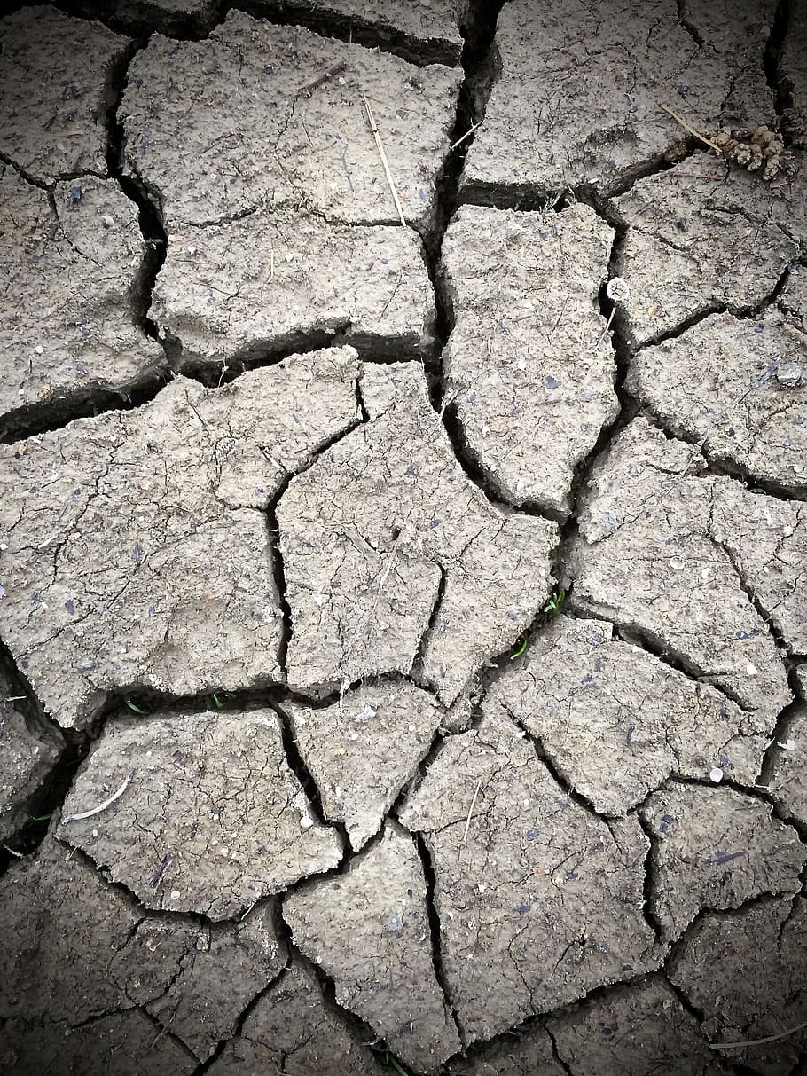 Mud, Dried, Soil, Earth, drought, dry, dirt, cracked, land, HD wallpaper