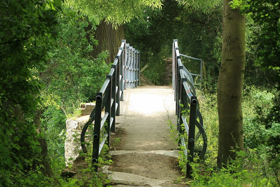 green wooden handrail in forest walk, Bridge, Crossing, Track HD wallpaper