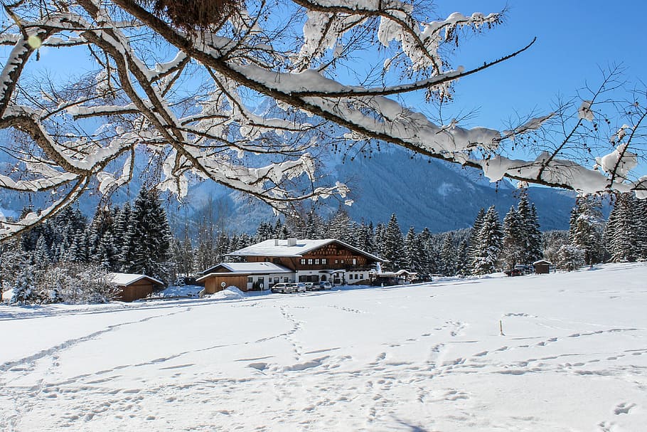 alm, alpine, alpspitze, trees, bavaria, mountains, massif, blue HD wallpaper