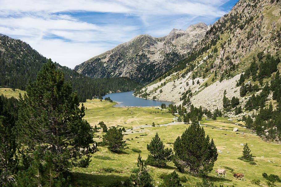 pyrenees, lleida, spain, plant, tree, scenics - nature, water, HD wallpaper