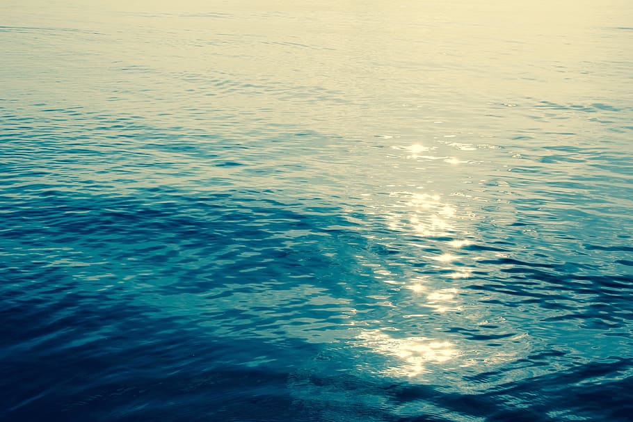 Rays, Dark, Covered, Ocean, Water, blue, swim, holiday, travel HD wallpaper