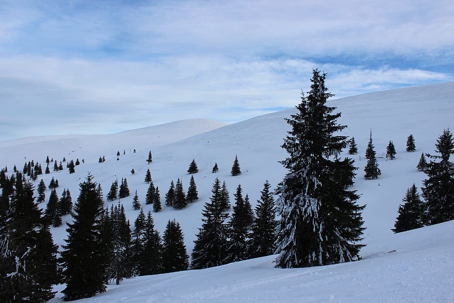 Winter, Sky, Snow, Cold, Nature, blue, forest, january, mountain HD wallpaper