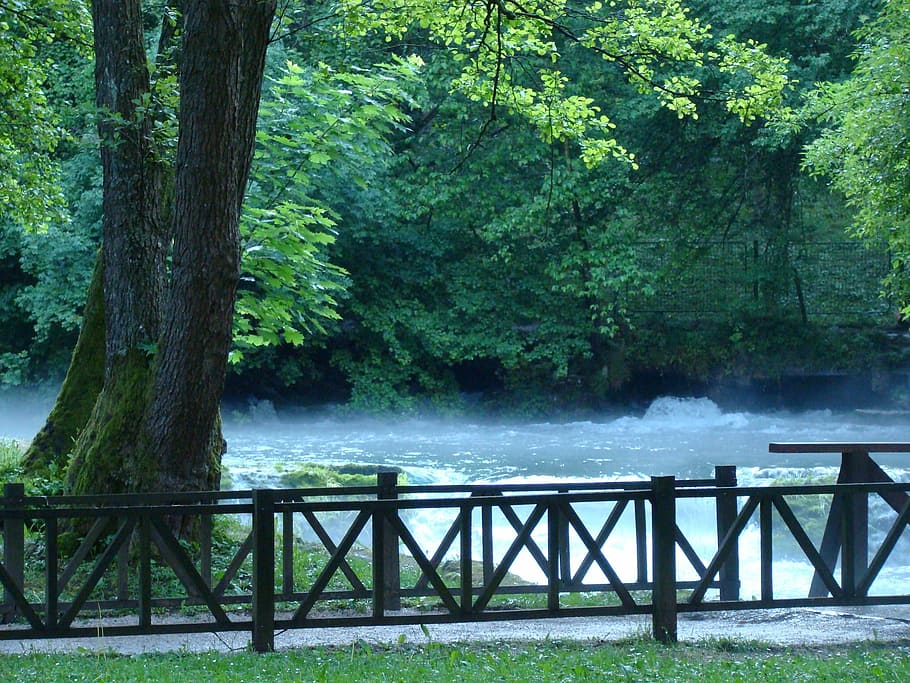 Water, Nature, Pure, Tranquil, Spring, tree, day, outdoors HD wallpaper