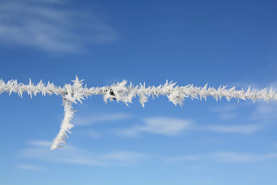 frost, winter, snow, sky, weather, cold, ice, frozen, blue HD wallpaper