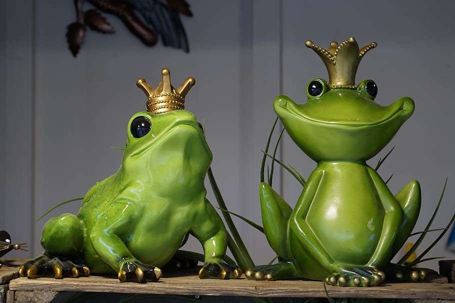 frog, frog prince, fairytale characters, garden, representation, HD wallpaper