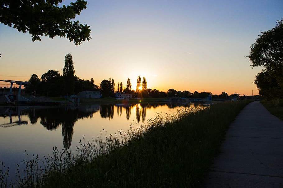 sunset, nature, landscape, sky, reflection, plant, water, tree HD wallpaper