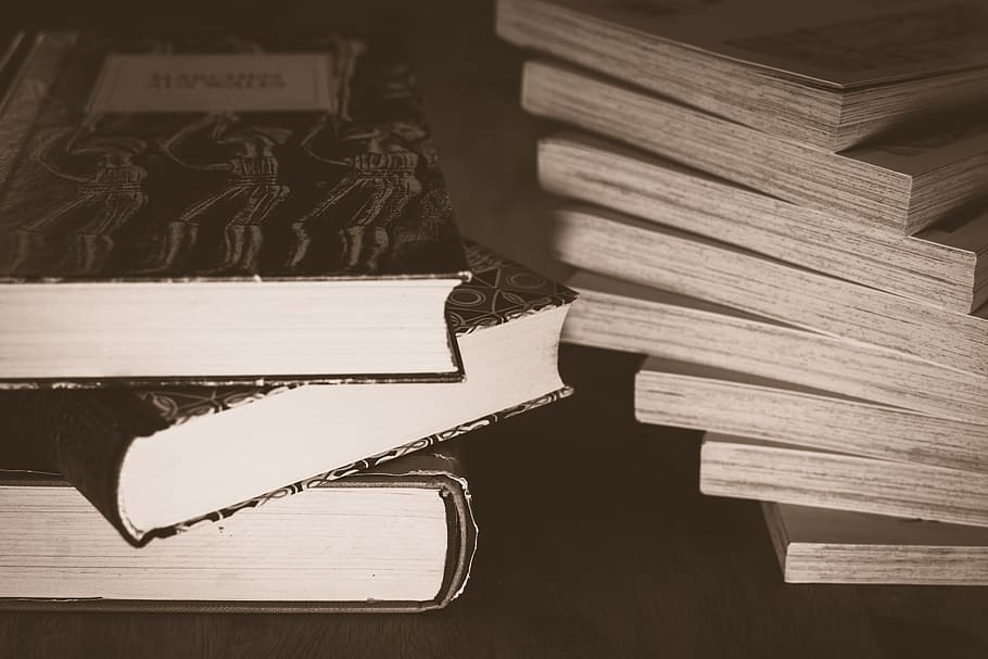 education, literature, library, book, wisdom, stack, study, HD wallpaper