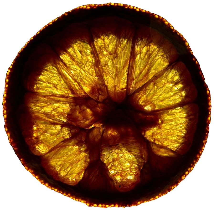 orange, slice, wheel, circle, color, the rays, the colour of the HD wallpaper