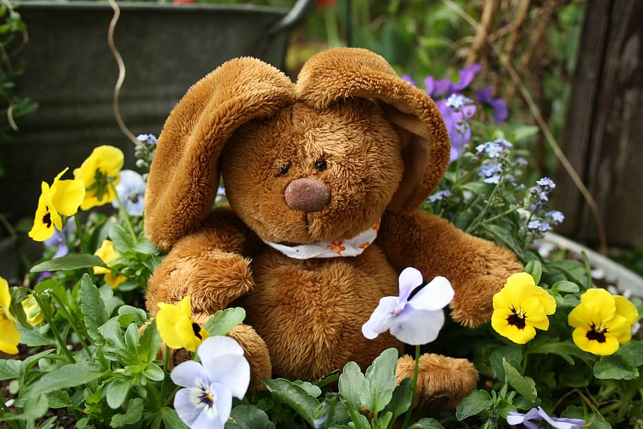 easter, hare, easter bunny, flowers, spring, easter greetings HD wallpaper