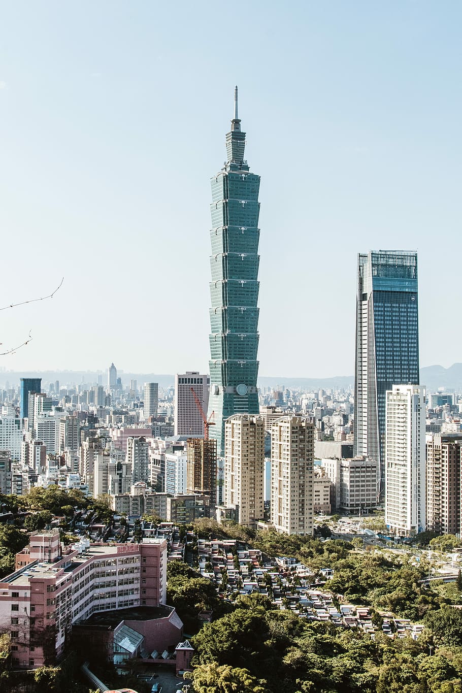 high-rise buildings with green trees, green high-rise building HD wallpaper