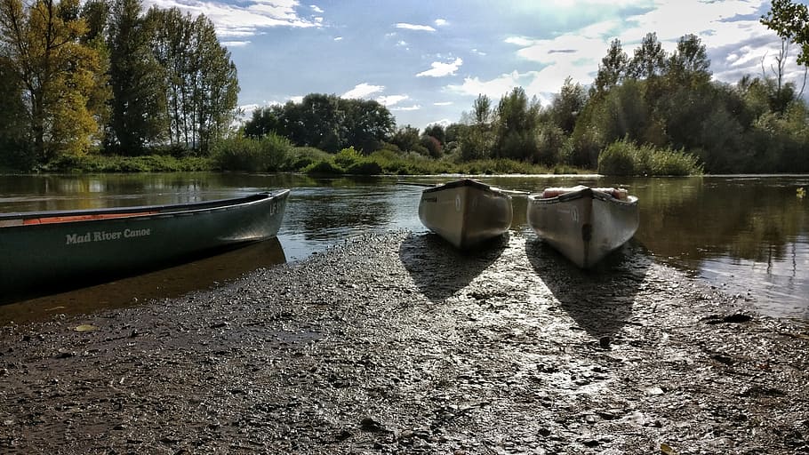 canoeing, lake, mud, water, tree, plant, nautical vessel, sky HD wallpaper