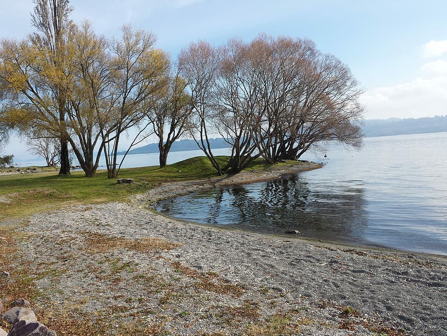 Lake, Tree, Ca, Landscape, Nature, Water, grass, no people HD wallpaper