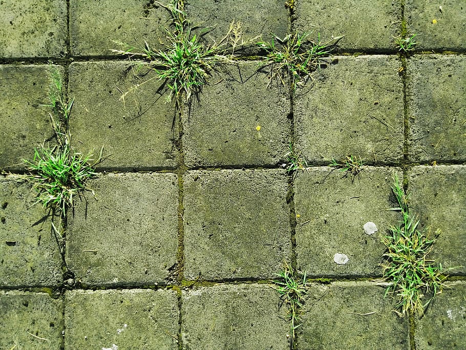Brick, Ground, Grass, Stone, Brown, wall - building feature HD wallpaper