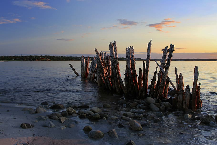 Pilings, Dock, Water, Pier, Harbor, shore, sea, ocean, coast HD wallpaper
