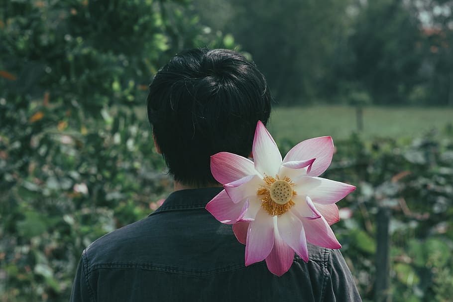 Pink Flowers on the Shoulder of Person, beautiful, big, bloom HD wallpaper