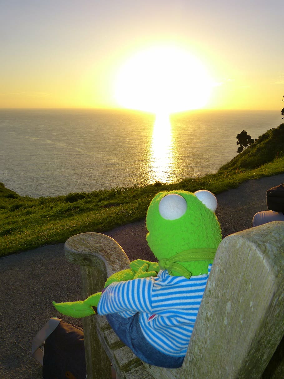 kermit, frog, sunset, to watch, outlook, sea, romantic, holiday HD wallpaper