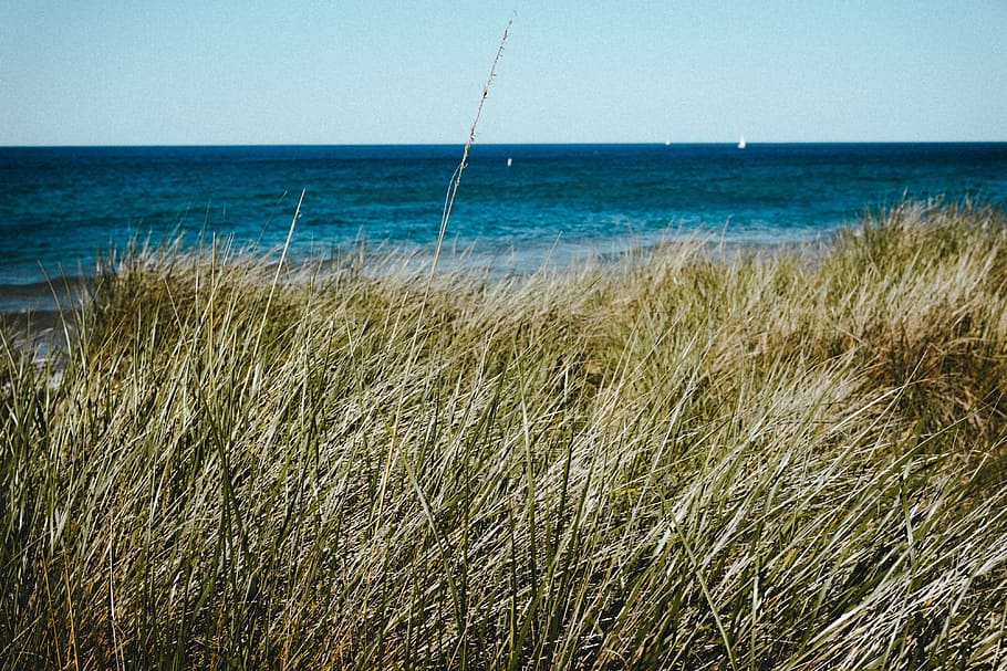 Lake Michigan, landscape, sea, nature, blue, beach, summer, sky HD wallpaper