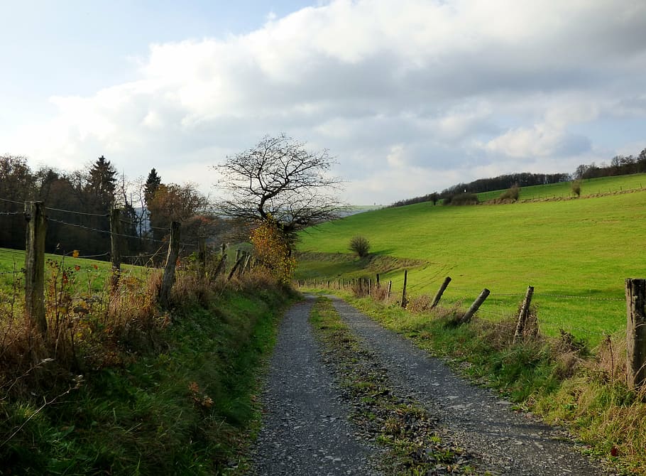 road, landscape, tree, fence, nature, luxembourg, pasture, sky HD wallpaper