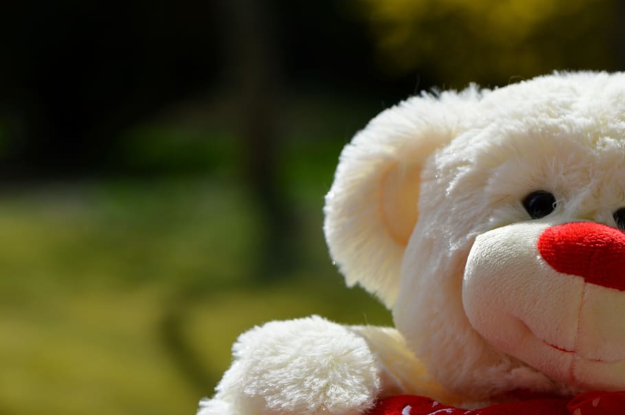 bear, bears, teddy, plush, cute, sweet, funny, toy, stuffed toy HD wallpaper