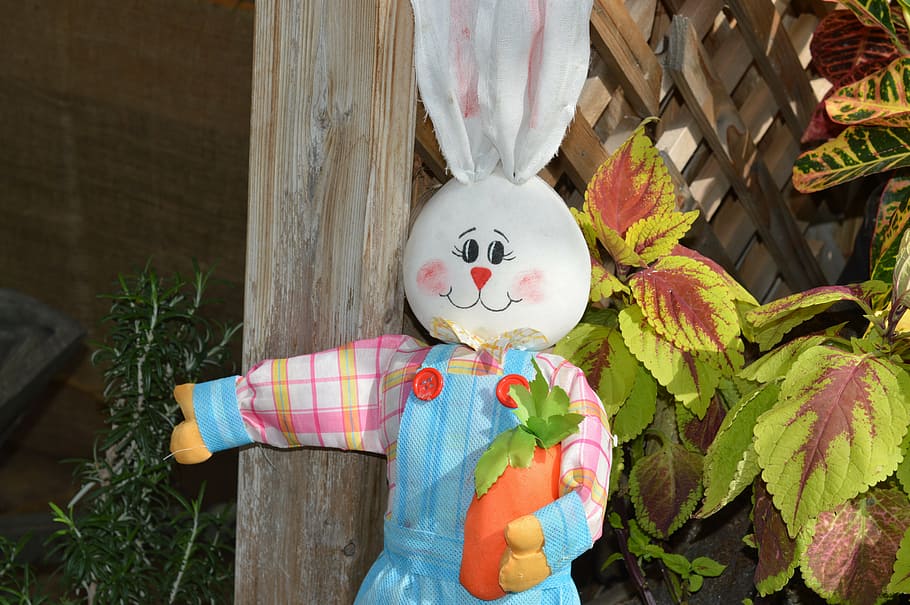 rabbit, bunny, hare, easter, animal, seasonal, rodent, brown HD wallpaper