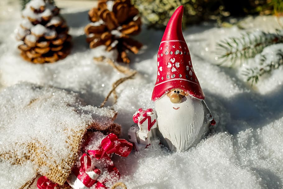2625 Christmas Gnomes Stock Photos  Free  RoyaltyFree Stock Photos from  Dreamstime