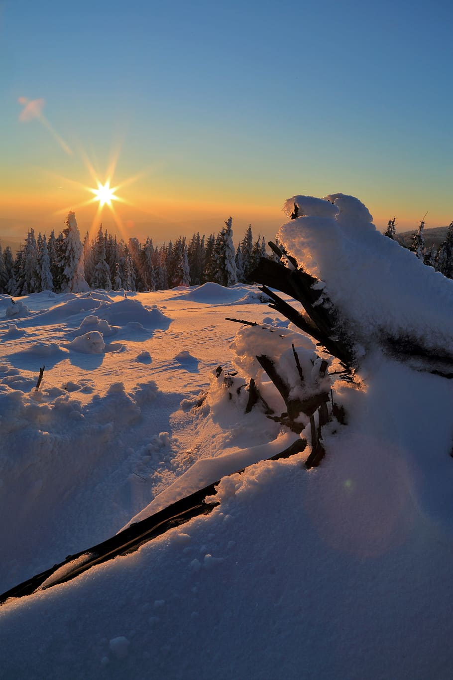 snow land surrounded by pine trees photo, Winter, Sunset, Landscape HD wallpaper