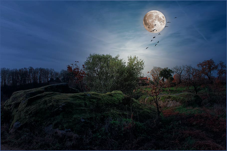 green grass field photograph, landscapes, moon, night, full moon, HD wallpaper