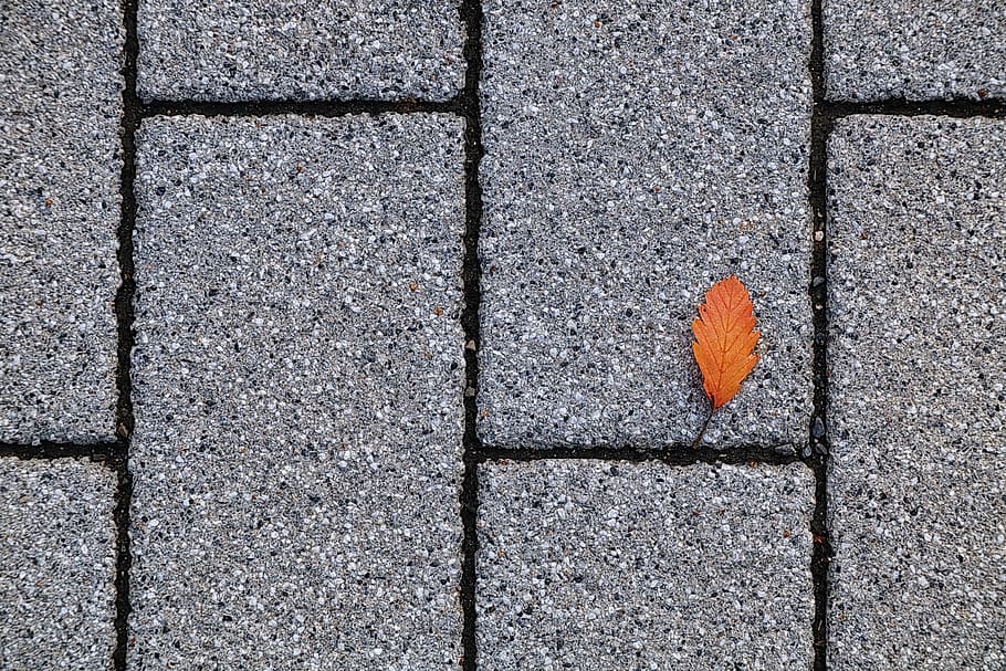 leaf, autumn, still life, floor plaster, footpath, pattern HD wallpaper