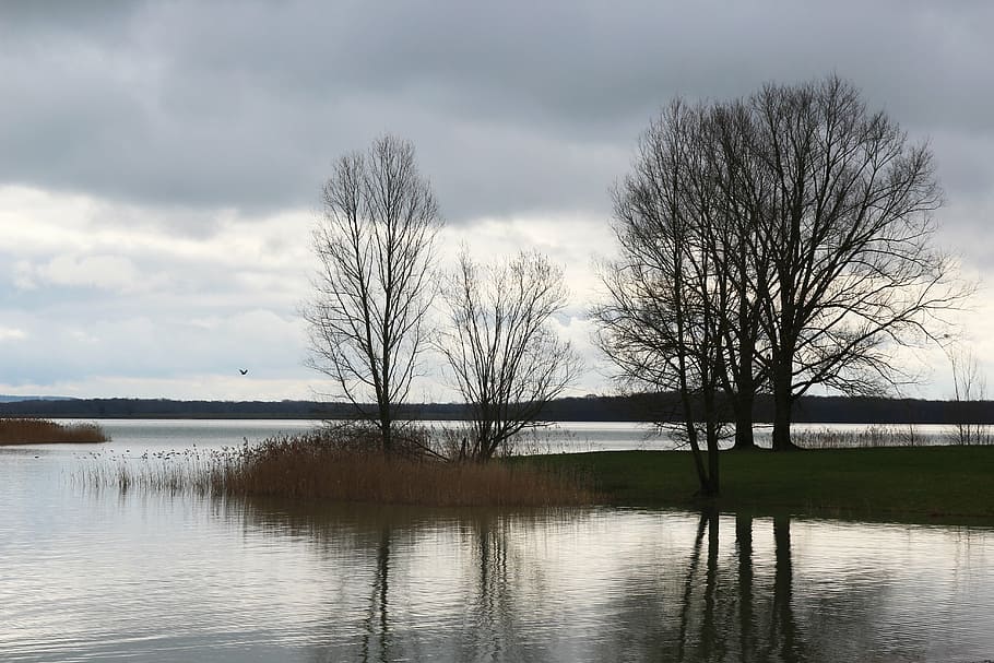 lake, tree, evening, clouds lake, water, sky, bare tree, cloud - sky HD wallpaper