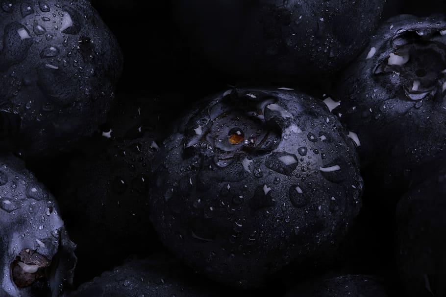 Blueberry, Berries, Macro, Water, water drops, nature, food HD wallpaper