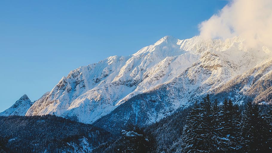 winter, snow, mountains, forest, trees, woods, nature, outdoors HD wallpaper